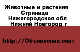  Животные и растения - Страница 5 . Нижегородская обл.,Нижний Новгород г.